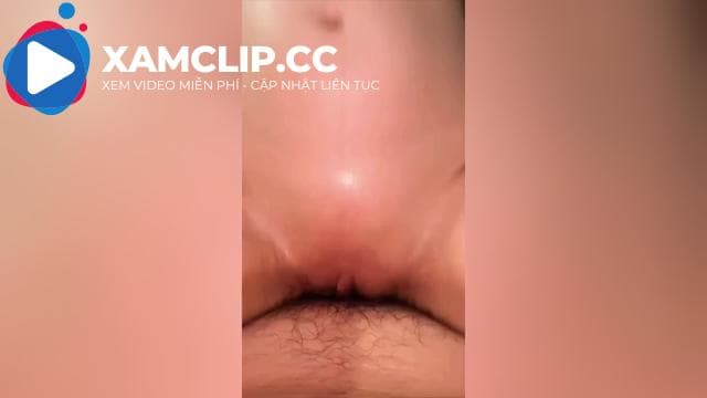 Nhà có con em họ thích cạo lông và hơi nhiều nước