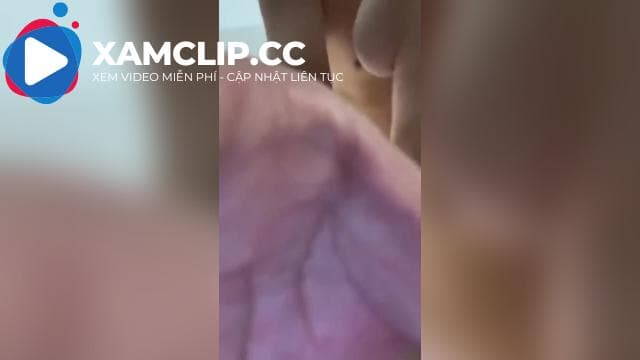 Cho em mèo béo vú tròn trải nghiệm cảm giác thằn lằn bám kính
